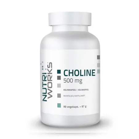 Choline 500 mg 90 kapslí