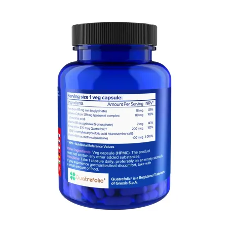 NATIOS Iron Chelated Complex, Železo bisglycinát, 18 mg, 90 veganských kapslí složení