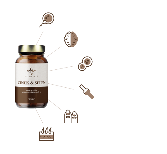 infografika komplex zinek&selen